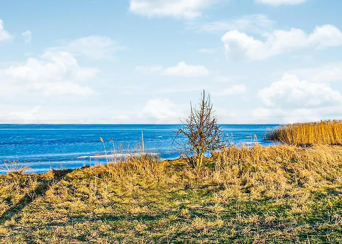 Cozy In With Wifi Сasa de vacaciones *