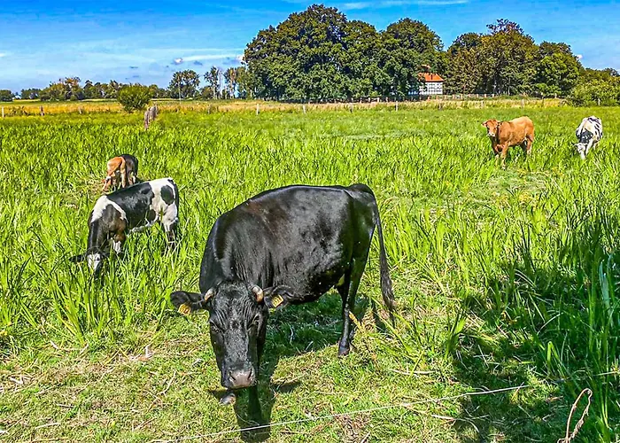 Cozy In With Wifi Сasa de vacaciones Warnoleka